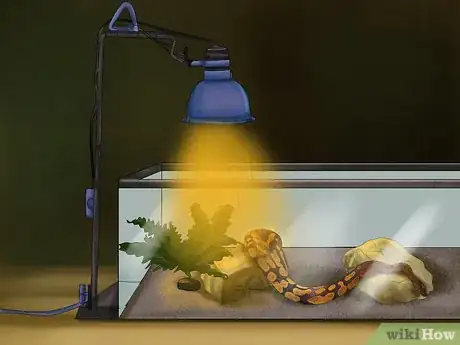 Imagen titulada Get a Pet Snake Step 10