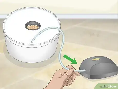 Imagen titulada Build a Hydroponics System Step 12
