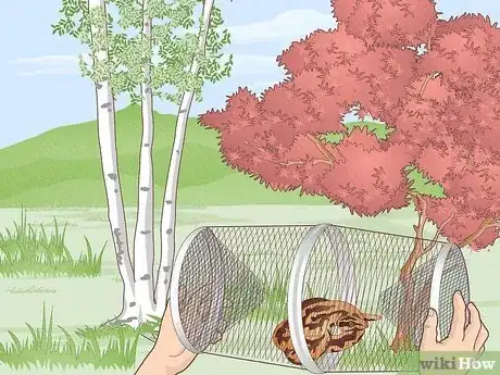 Imagen titulada Trap a Snake Step 8