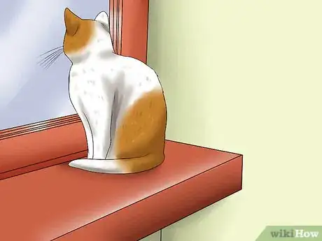 Imagen titulada Care for Indoor Cats Step 6