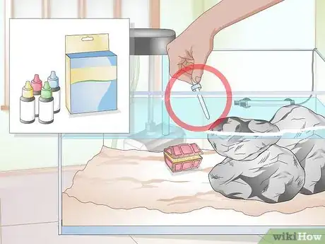 Imagen titulada Clean a Turtle Tank Step 14