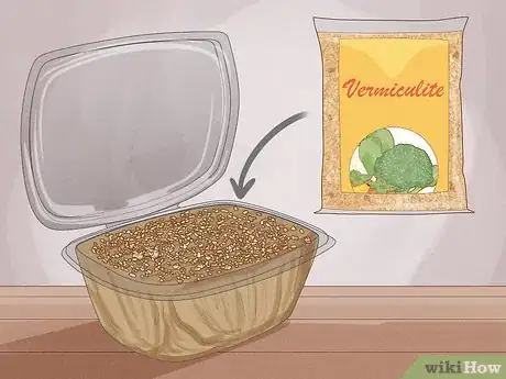 Imagen titulada Grow Microgreens Step 10