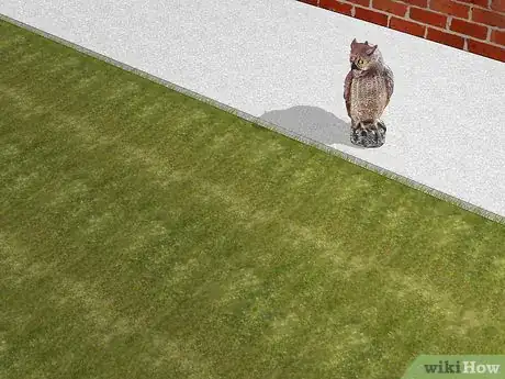 Imagen titulada Get Rid of Chipmunks Step 7