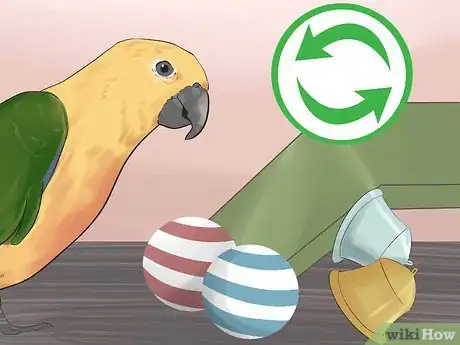 Imagen titulada Entertain a Conure Step 5