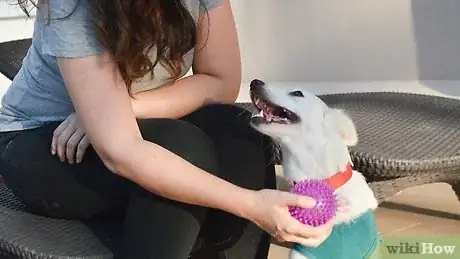 Imagen titulada Stop Puppy Biting Step 5
