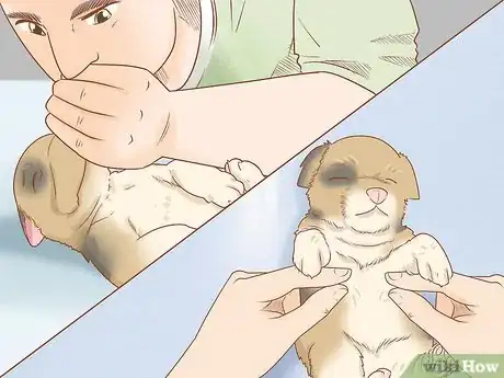 Imagen titulada Revive a Puppy Step 18