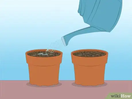 Imagen titulada Propagate Azaleas Step 35