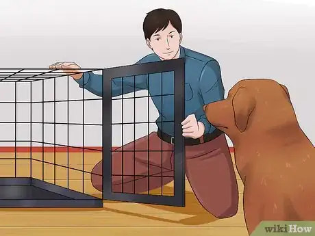 Imagen titulada Prevent a Dog from Defecating in its Crate Step 5