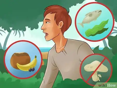 Imagen titulada Survive on a Deserted Island With Nothing Step 11