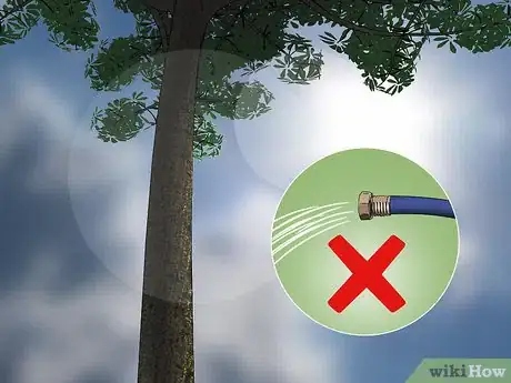 Imagen titulada Water Trees Step 13