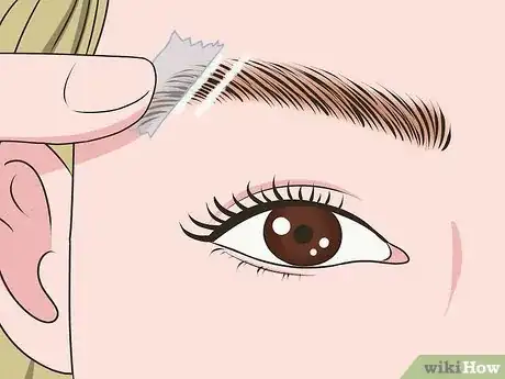 Imagen titulada Create Eyebrow Slits Step 2.jpeg