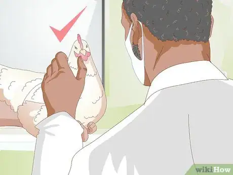 Imagen titulada Feed Chickens during the Winter Step 11