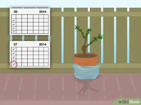 Imagen titulada Propagate Azaleas Step 24