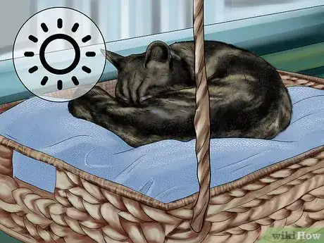 Imagen titulada Encourage a Cat to Use Its Bed Step 5