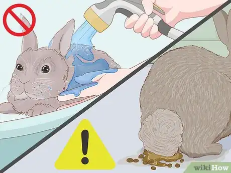 Imagen titulada Care for a New Pet Rabbit Step 22
