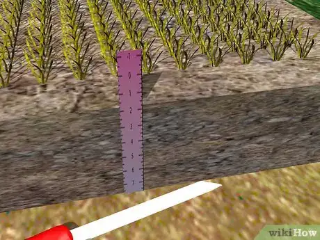Imagen titulada Dethatch Step 1Bullet3