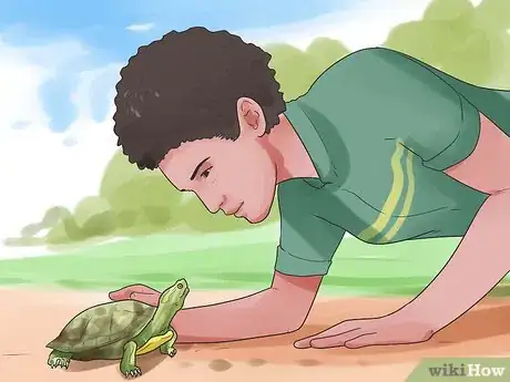 Imagen titulada Pet a Turtle Step 1