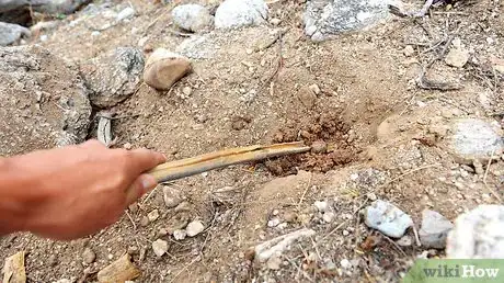 Imagen titulada Defecate Outdoors Step 13