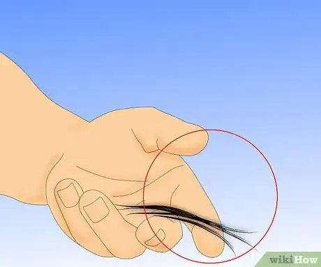 Imagen titulada Use Rogaine Step 10