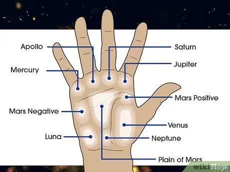 Imagen titulada Read the Mounts of the Palm Step 1