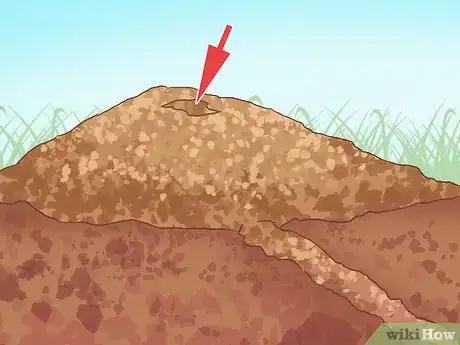 Imagen titulada Catch Moles Step 17