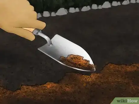 Imagen titulada Increase Nitrogen in Soil Step 2