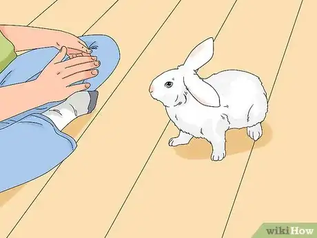 Imagen titulada Tell if Your Rabbit Has Weepy Eye Step 3