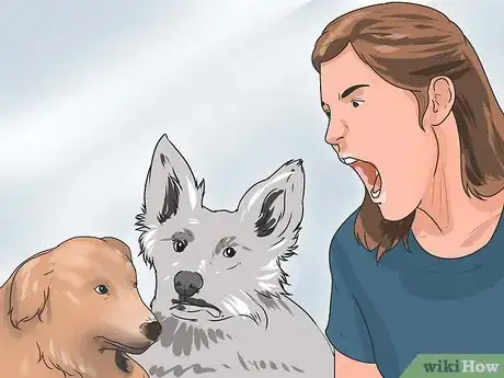 Imagen titulada Break Up a Dog Fight Step 2