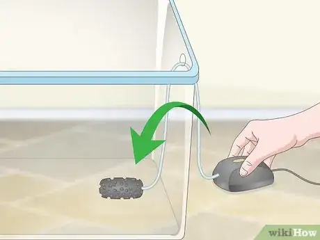 Imagen titulada Build a Hydroponics System Step 13