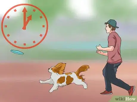 Imagen titulada Train Cavalier King Charles Spaniels Step 11