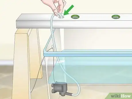 Imagen titulada Build a Hydroponics System Step 19