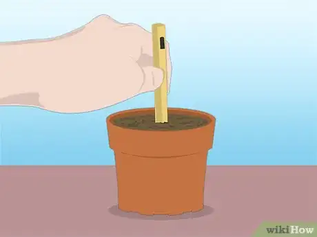 Imagen titulada Propagate Azaleas Step 18