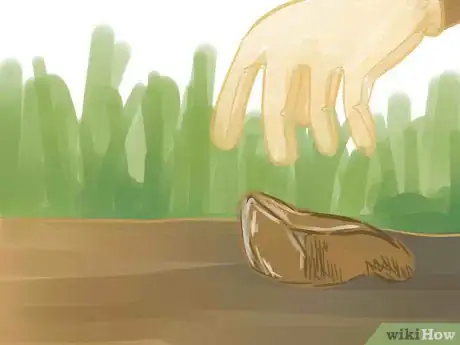 Imagen titulada Make a Sweat Bath in the Wilderness Step 4
