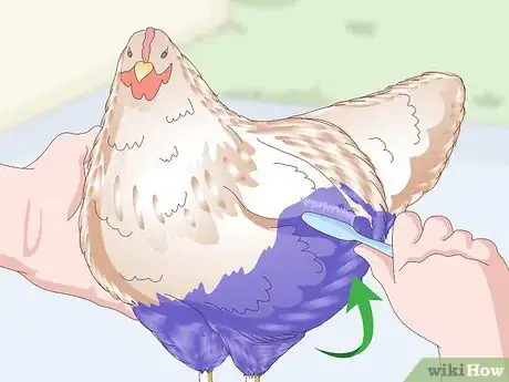 Imagen titulada Color Chickens Step 11