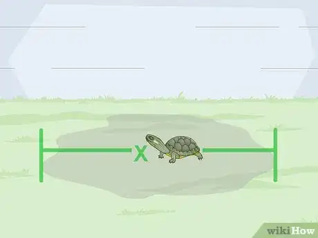 Imagen titulada Build an Outdoor Turtle Enclosure Step 13