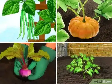 Imagen titulada Create a Vegetable Garden Step 1