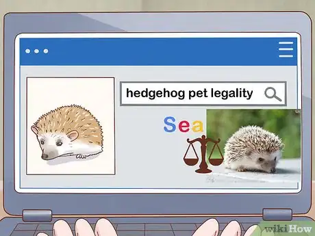 Imagen titulada Take Care of a Hedgehog Step 1