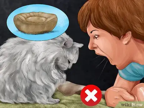 Imagen titulada Encourage a Cat to Use Its Bed Step 9