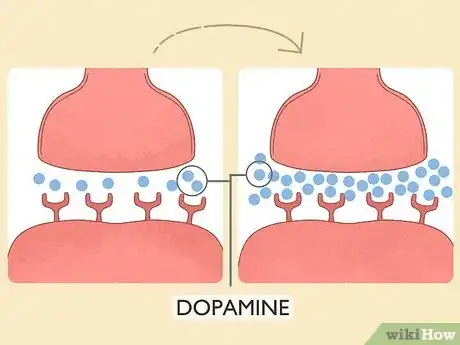 Imagen titulada Increase Dopamine Sensitivity Step 6
