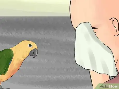 Imagen titulada Entertain a Conure Step 9