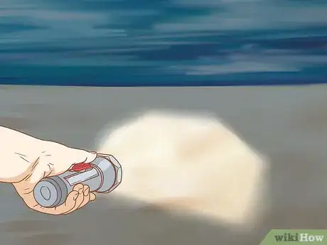 Imagen titulada Catch a Ghost Crab Step 3
