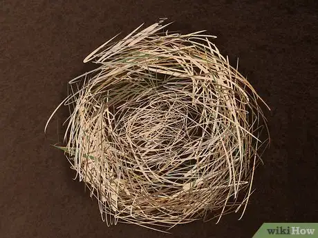 Imagen titulada Make a Fire to Survive Step 5