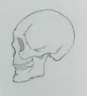 dibujar una calavera