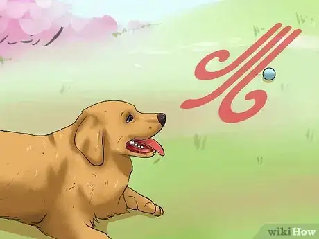 Imagen titulada Teach a Dog to Track Step 8