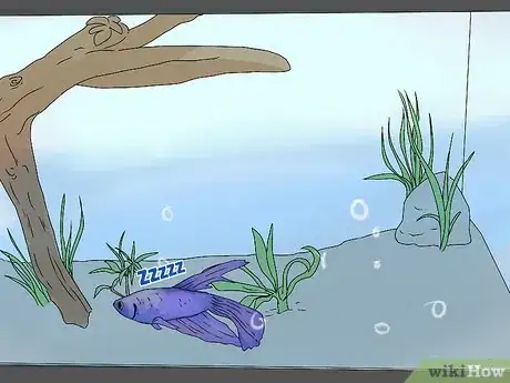 Imagen titulada Tell if Your Fish Is Dead Step 11