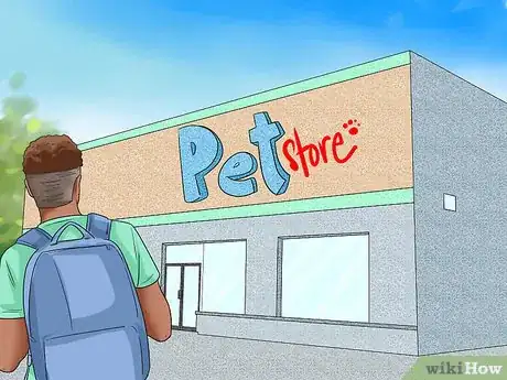 Imagen titulada Buy a Turtle Step 1