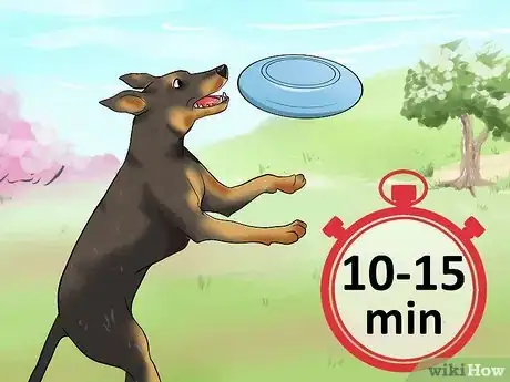 Imagen titulada Teach a Dog to Track Step 3