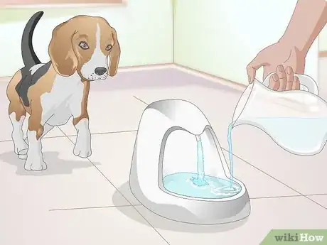 Imagen titulada Feed an Older Dog with Kidney Disease Step 13