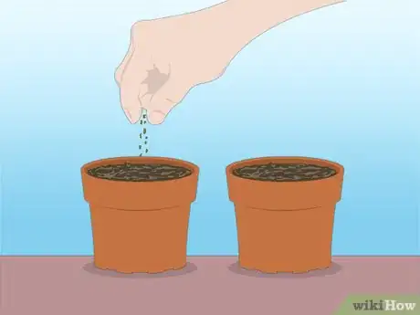 Imagen titulada Propagate Azaleas Step 36