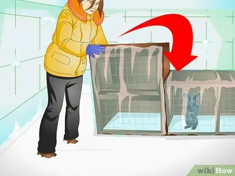 Imagen titulada Keep a Rabbit Warm Step 1